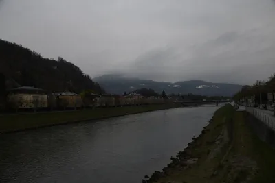 DSC_7107 (Large).JPG